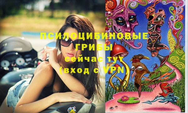 наркотики Алексеевка
