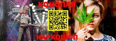 стафф Шахты