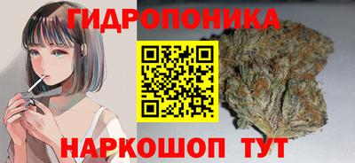 стафф Шахты