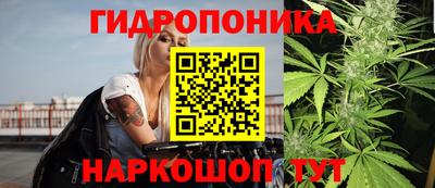 стафф Шахты