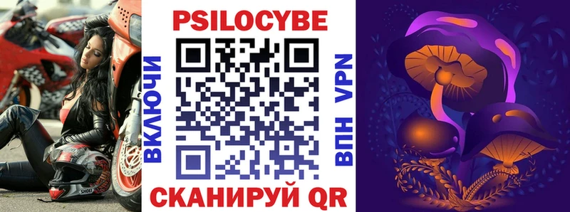 как найти закладки Переславль-Залесский Псилоцибиновые грибы Psilocybine cubensis