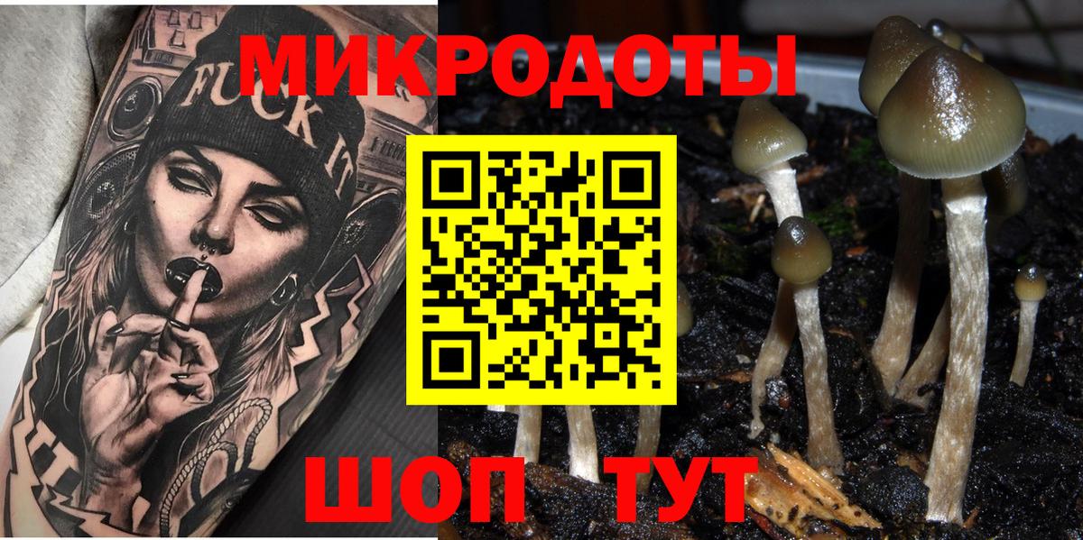 Галлюциногенные грибы ЛСД  Галлюциногенные грибы мицелий  Вход с VPN  дарнет шоп  Переславль-Залесский 