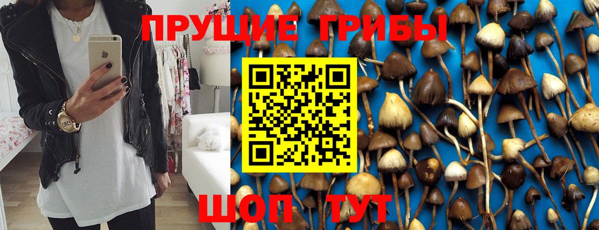 Галлюциногенные грибы мицелий Переславль-Залесский